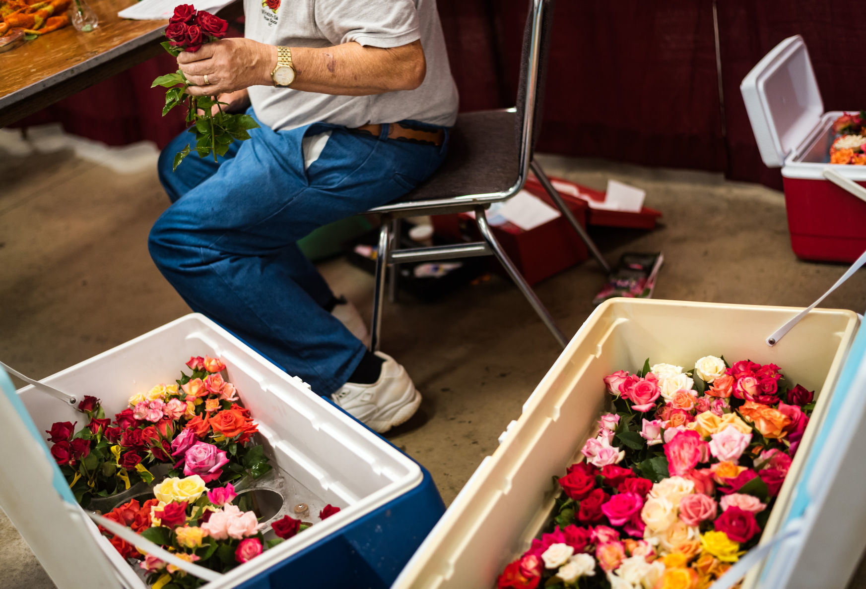Rose Show